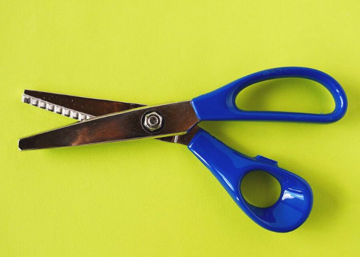 Pinking Shears for Dressmaking, Professional Stainless Steel Tailor Pinking Scissors for Felt Paper Fabric Cutting/Sewing, Handled Zig Zag Scissors