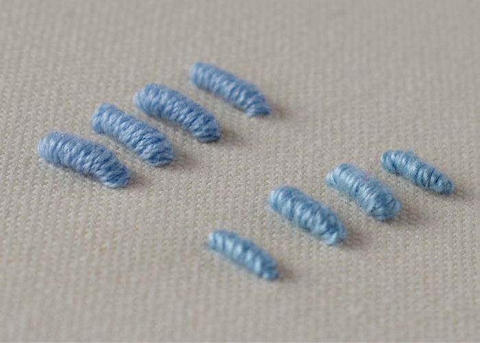 The sampler of Bullion knot stitch. Embroidery with blue embroidery floss and pearl cotton