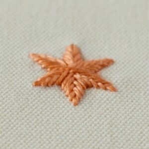Woven Star stitch filled orange Woven Star stitch filled orange