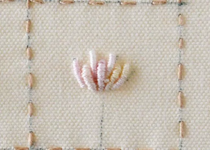 how to embroider bullion stitch flower: Clover step 1