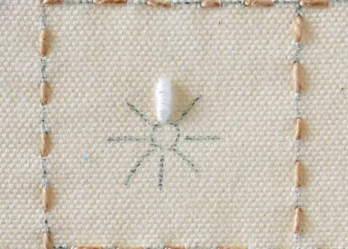 bullion stitch flowers: Daisy step 1