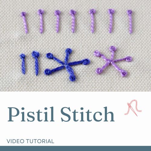 Carte vidéo Pistil Stitch