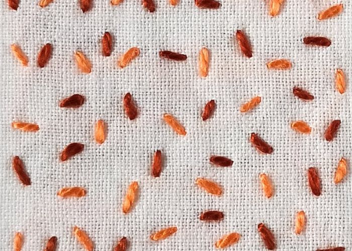 Seed stitch embroidery with two colors of pearl cotton