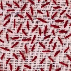 Seed stitch1x1 Seed stitch1x1