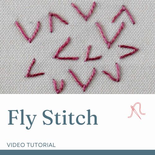 Carte vidéo Fly Stitch