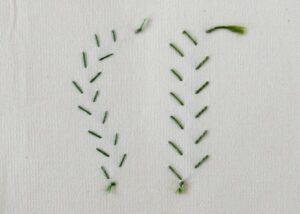 Feather Stitch embroidery Rear side