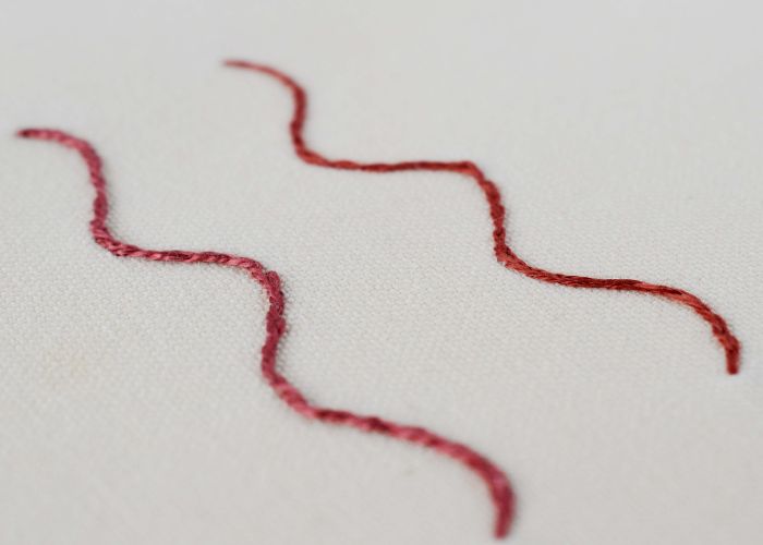 Ricamo Split Stitch con filo di cotone rosso scuro perlato e filo di cotone
