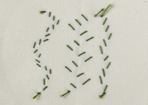 Double Feather Stitch embroidery rear side