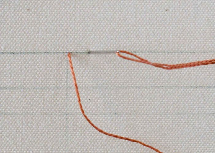 Plaited Fly Stitch Step 1