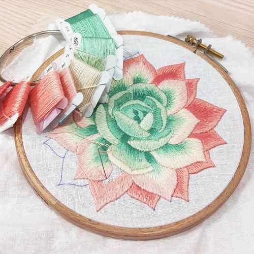 Succulent in Shades of Peach - Hand Embroidery Pattern on Etsy