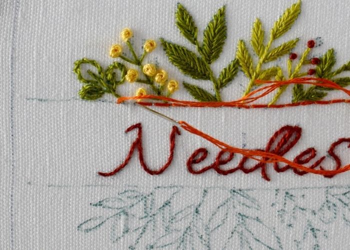 Embroider Backstitch for the frame