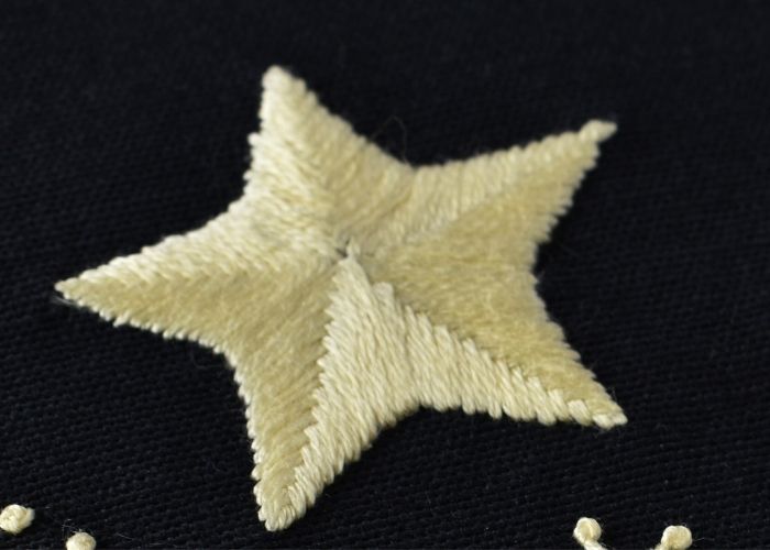 Estrella de punto de espina de pescado en relieve