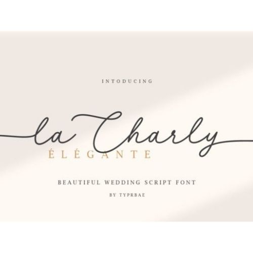 Script Font from Creative Fabrica