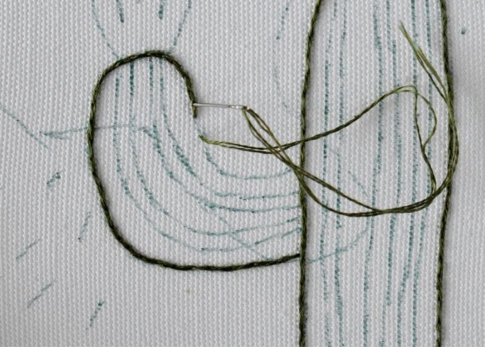 Cactus outline with split backstitch3