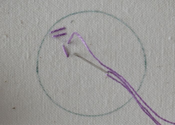 Double Rice Stitch hand embroidery tutorial step 4 image