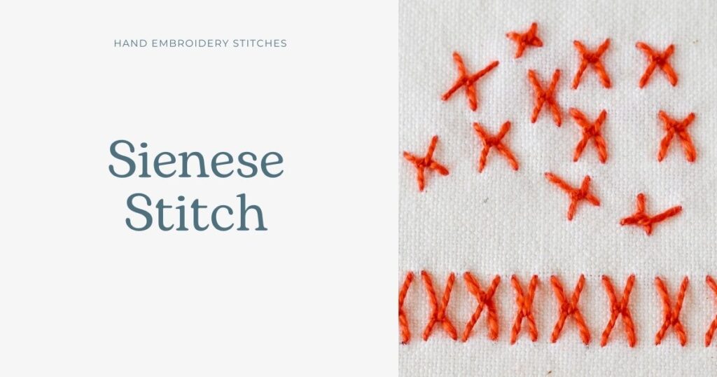Sienese Stitch hand embroidery tutorial cover image