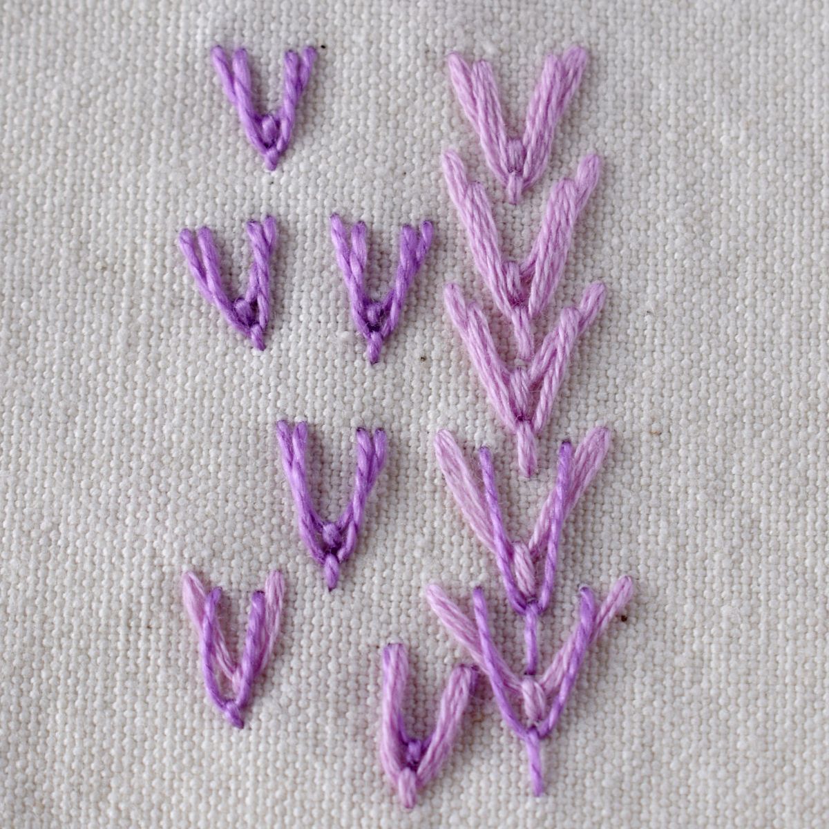 Double Fly Stitch