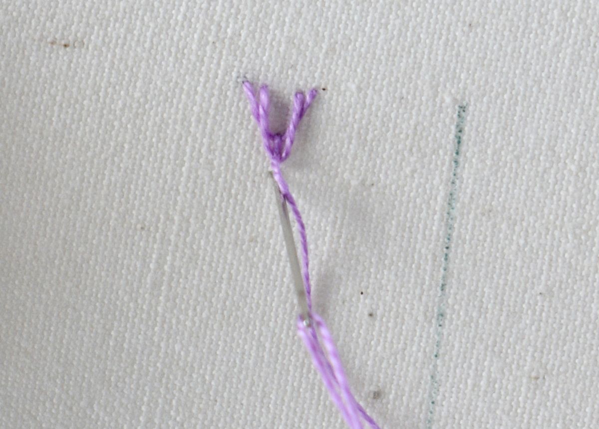 Double Fly Stitch hand embroidery tutorial step 6 image