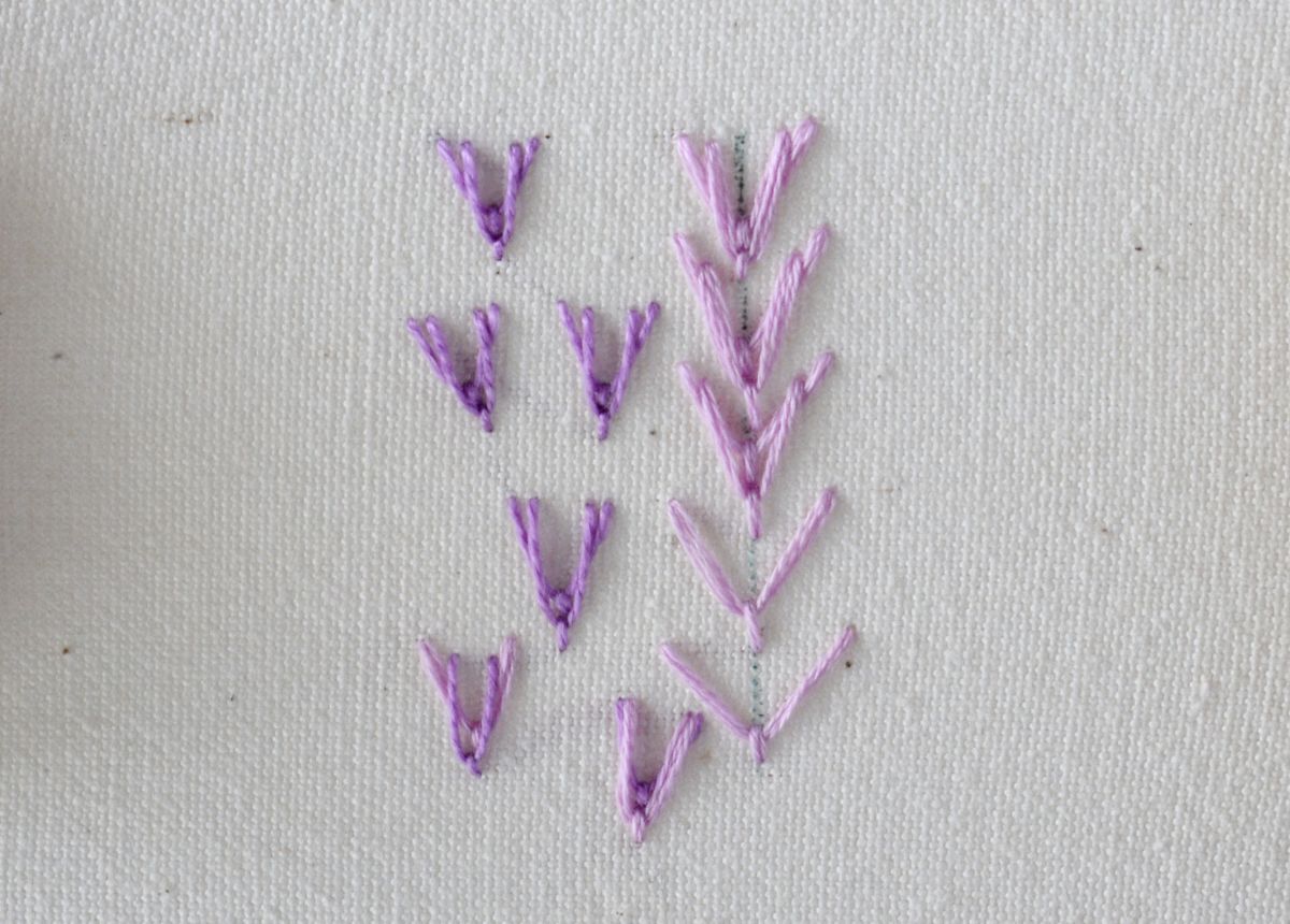 Double Fly Stitch hand embroidery tutorial step 7 image