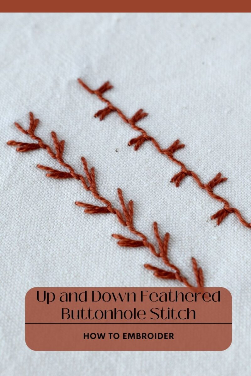 Up and Down Feathered Buttonhole Stitch Guide PIN image