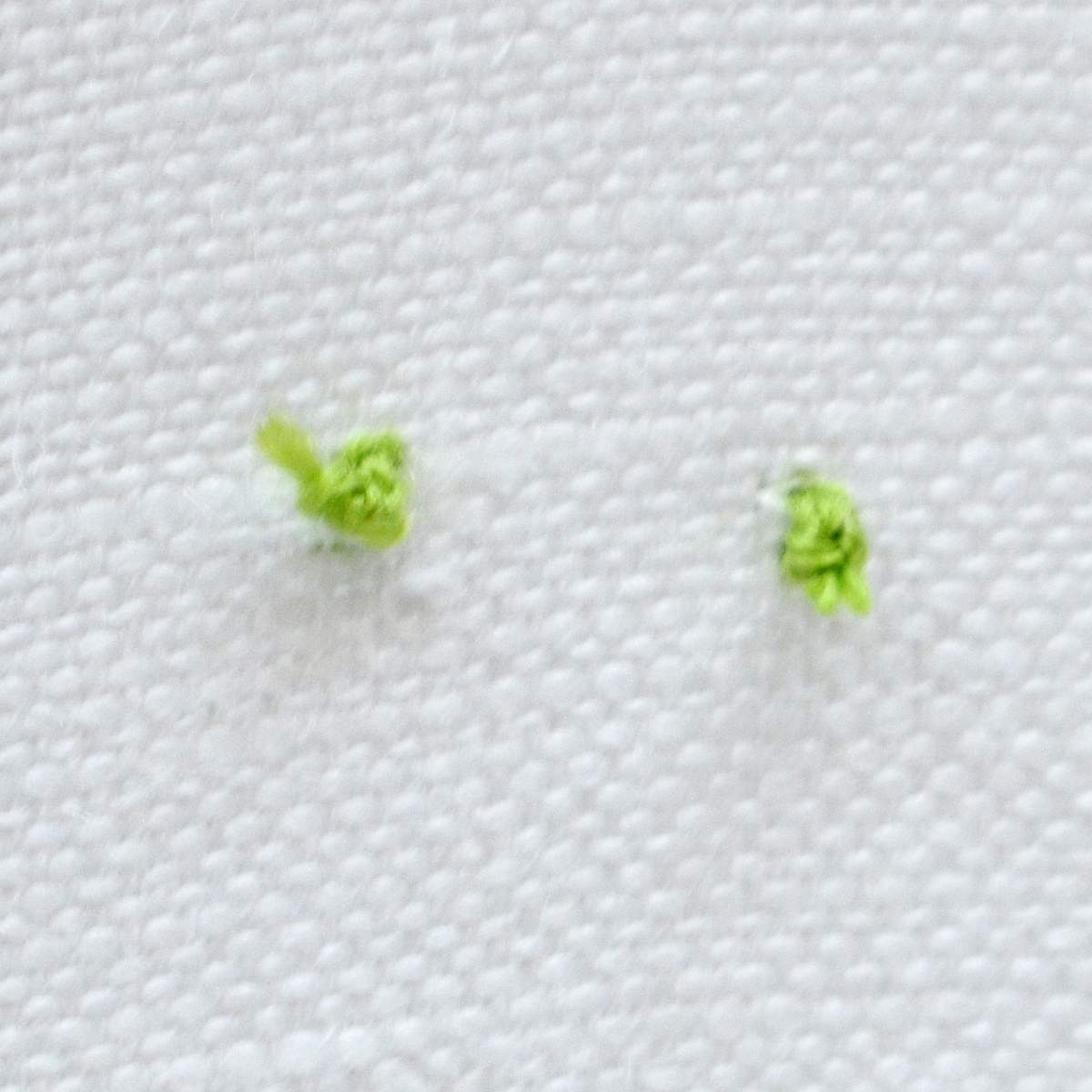 Folded thread method for starting isolated french knot image
