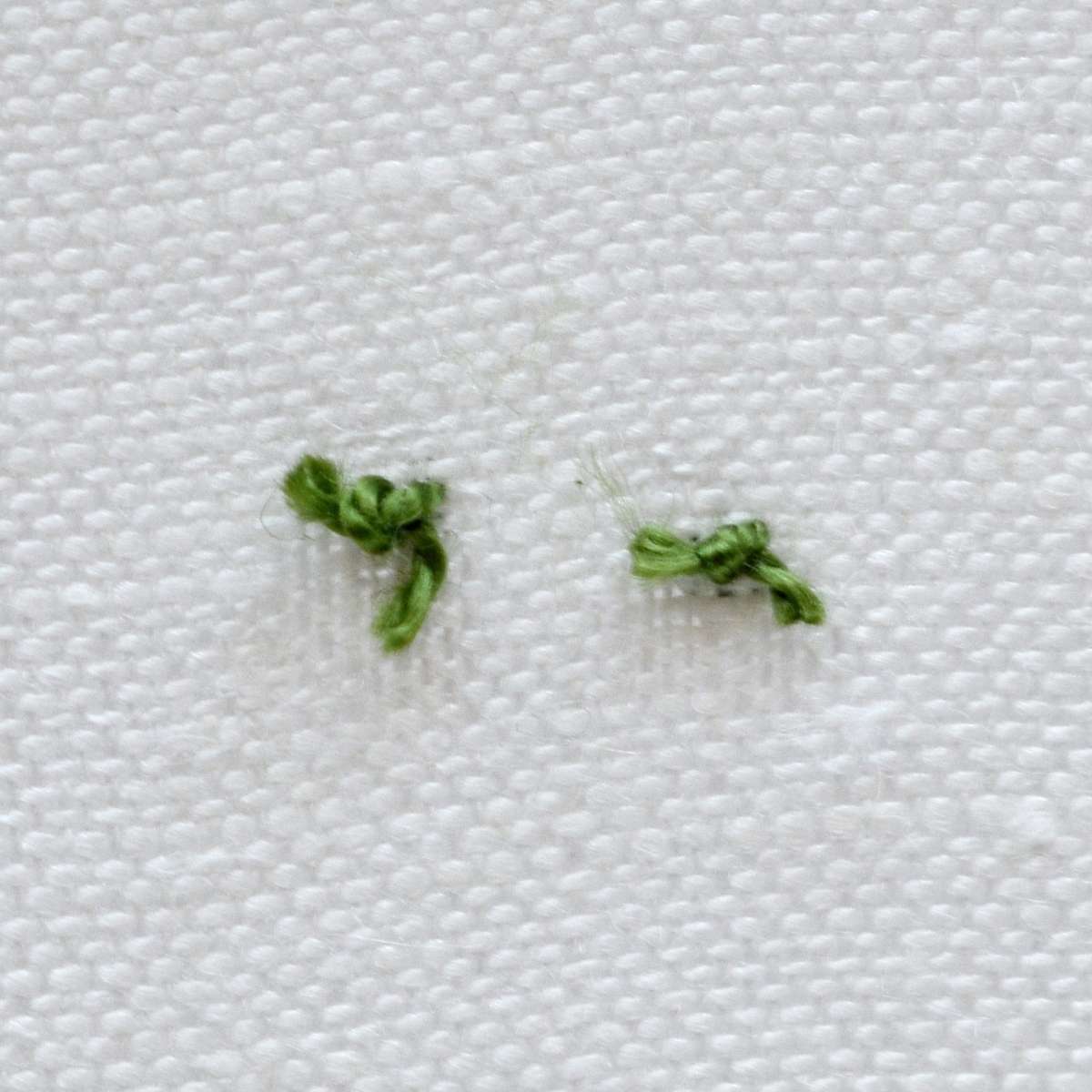 Waste knot for starting isolated french knot back side image